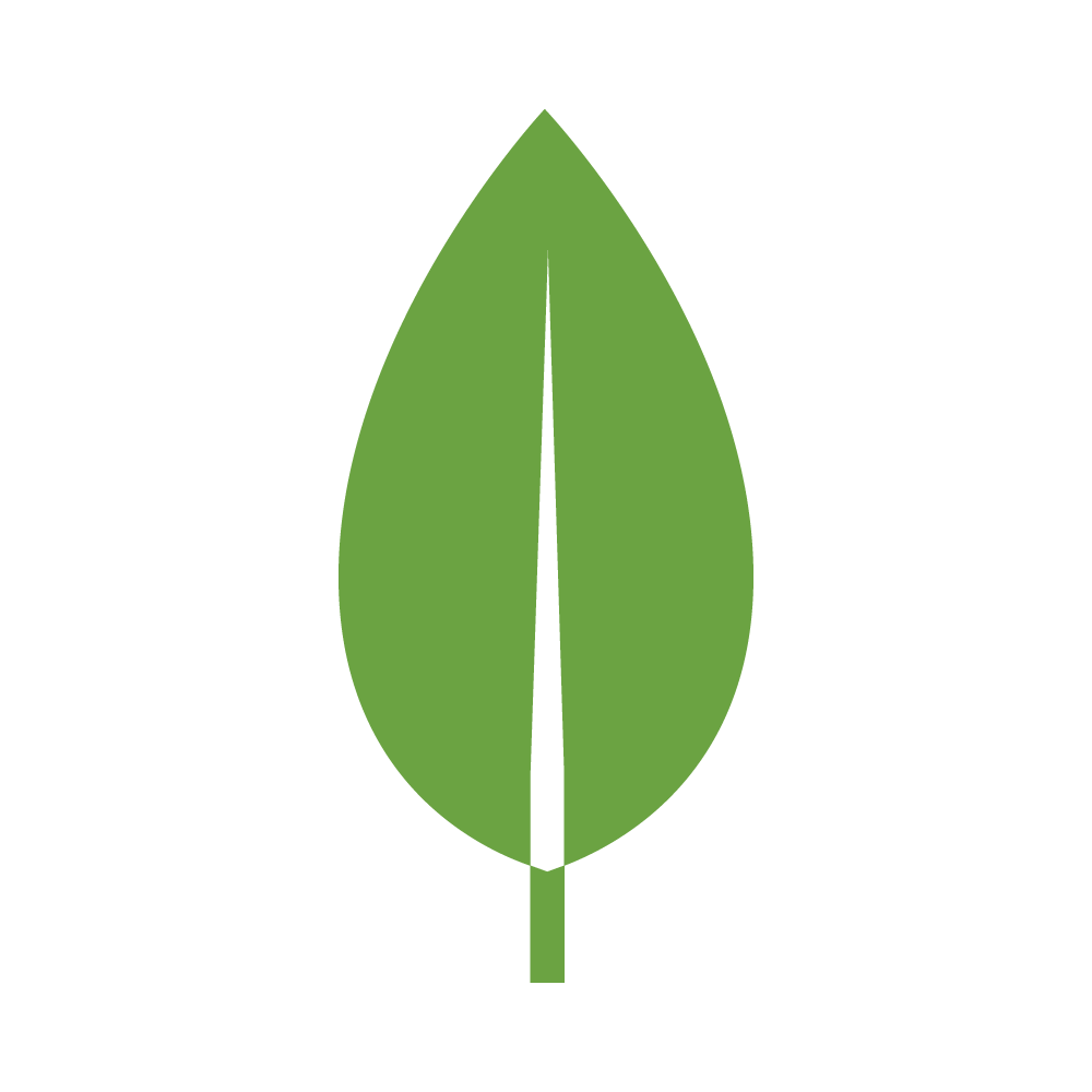 mongodb-logo